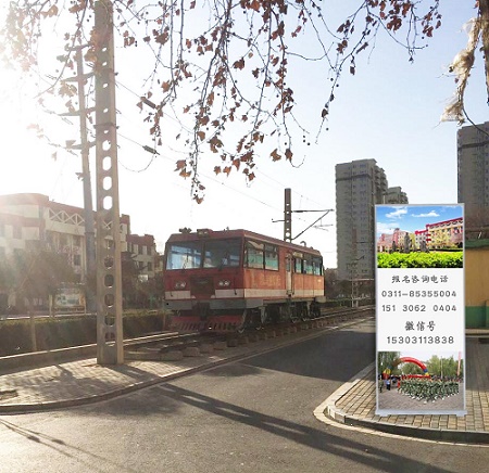 美麗校園 校園環境 美麗校園 校園環境